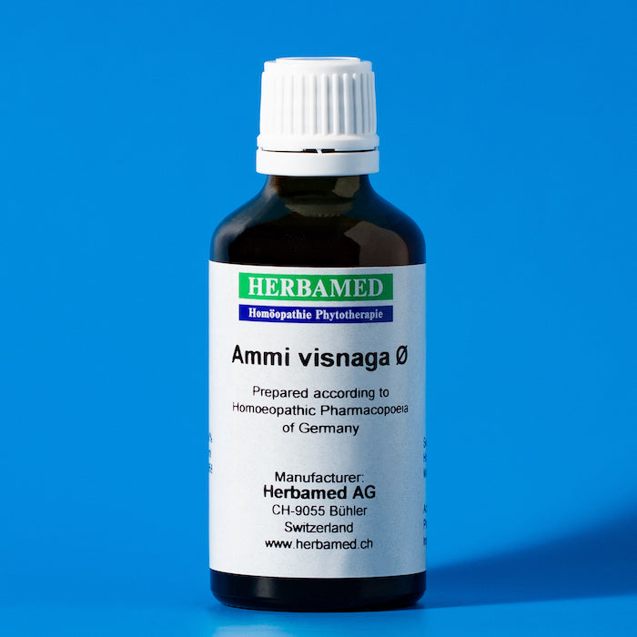 Ammi visnaga Tentürü – OTA FARMA
