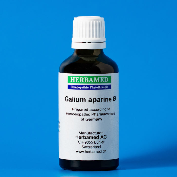 Galium aparine Tentürü – OTA FARMA