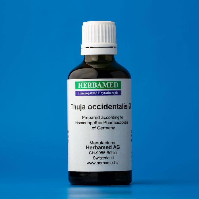 Thuja occidentalis Tentürü – OTA FARMA