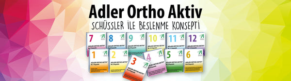 Adler Ortho Aktiv Detaylı Eğitimlere Başlıyoruz!