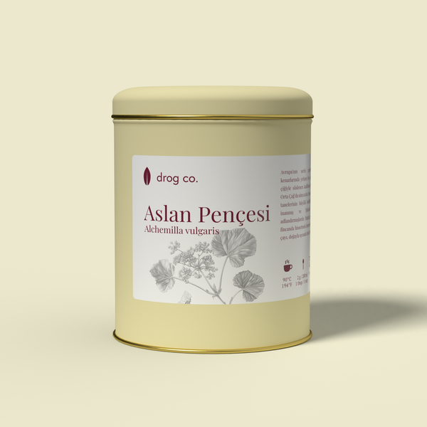 Aslan Pençesi