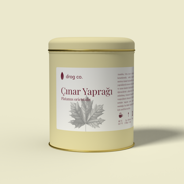 Çınar Yaprağı