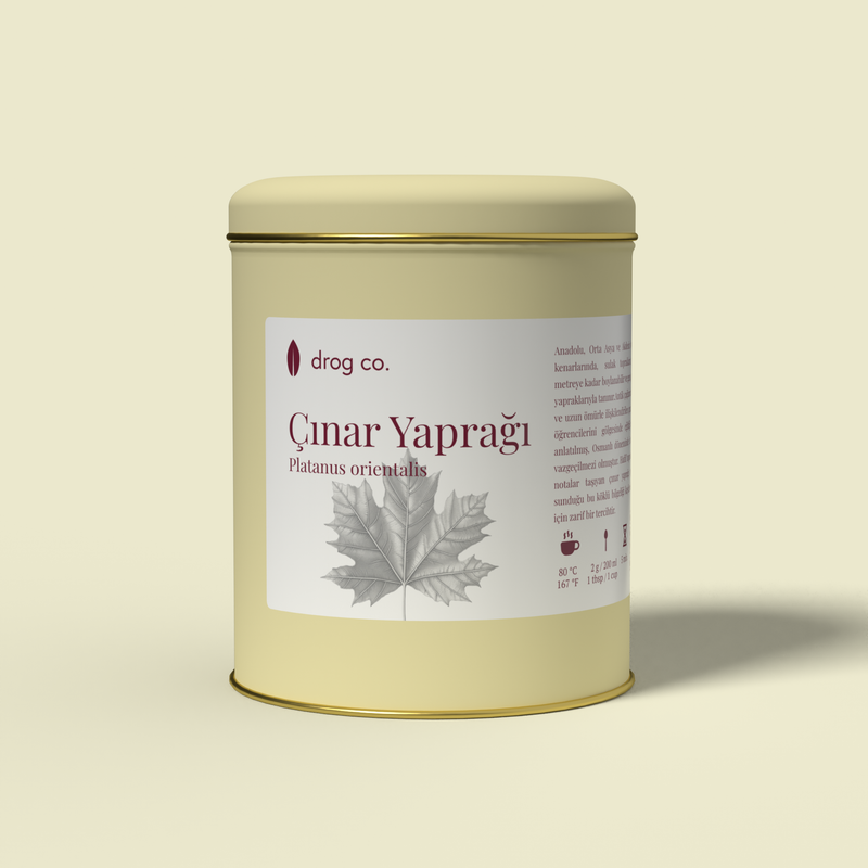 Çınar Yaprağı