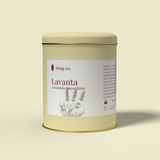 Lavanta