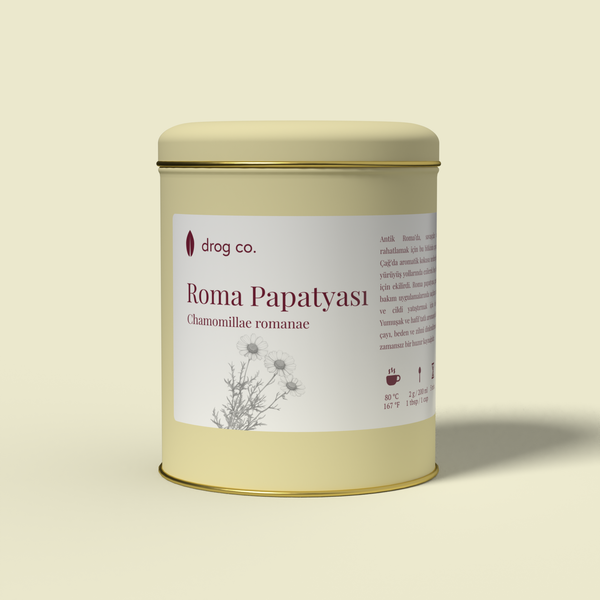 Roma Papatyası