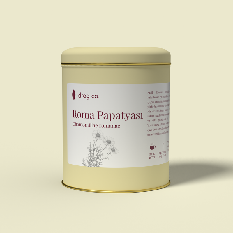 Roma Papatyası