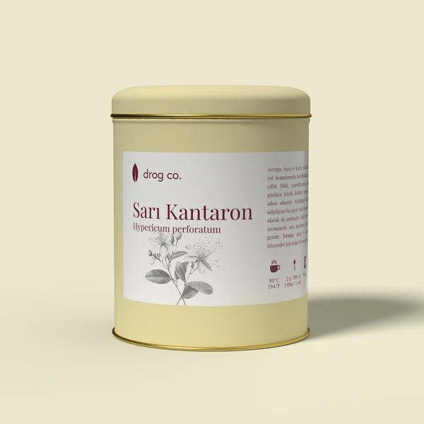 Sarı Kantaron